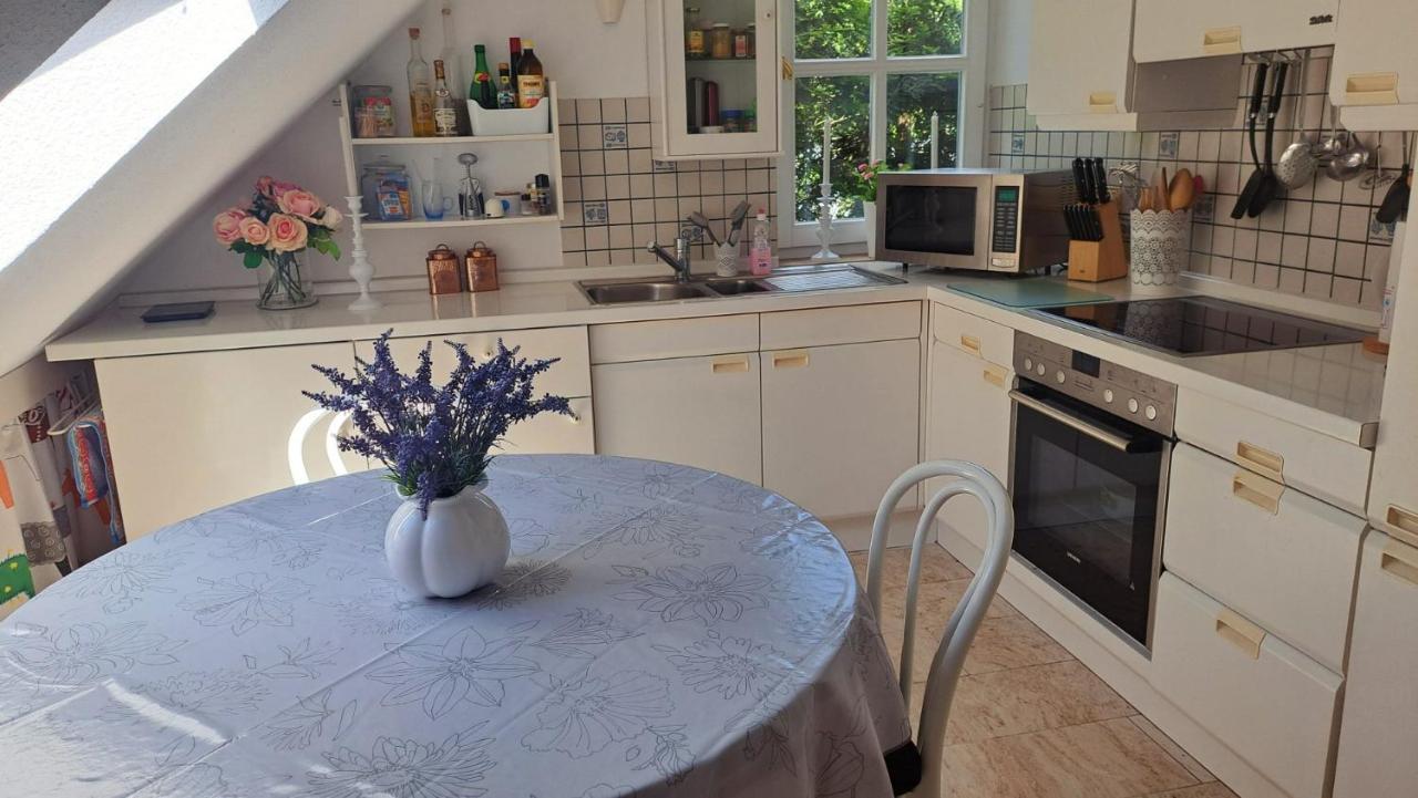 Ferienwohnung In Bad Wilhelmshoehe Weltkulturerbe 카셀 외부 사진